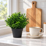 Small Potted Artificial Bright Rosemary Herb Plant UV Resistant 20cm - styled product image B
