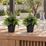 Small Potted Artificial Persa Boston Fern Plant UV Resistant 20cm - styled product image B