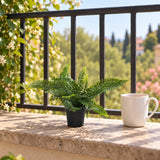 Small Potted Artificial Dark Green Fern Plant UV Resistant 20cm - styled product image A