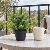 Small Potted Artificial Native Grass Plant UV Resistant 20cm - styled product image A
