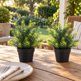 Small Potted Artificial Native Grass Plant UV Resistant 20cm - styled product image B