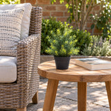 Small Potted Artificial Native Grass Plant UV Resistant 20cm - styled product image C
