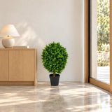 Artificial Topiary Shrub (Hedyotis) UV Resistant 80CM - styled product image C
