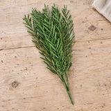 Native Tea Tree Stem UV Resistant 40cm - styled product image B