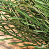 Native Tea Tree Stem UV Resistant 40cm - styled product image C