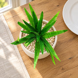 Styled artificial foliage image A