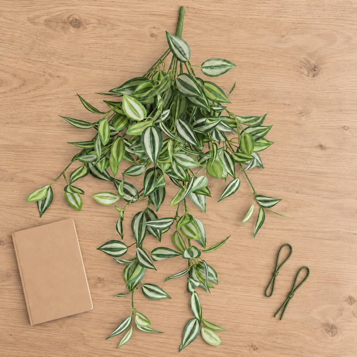 Mixed White and Green Hanging Philodendron Bush 80cm - styled product image A