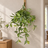 Mixed White and Green Hanging Philodendron Bush 80cm - styled product image B