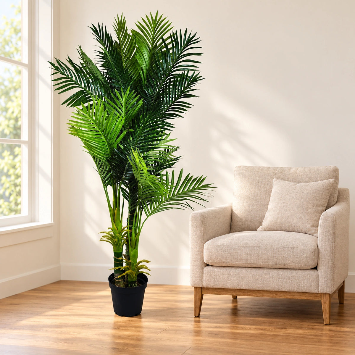 Multi Trunk Hawaii Palm 180cm - styled product image A