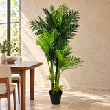 Multi Trunk Hawaii Palm 180cm - styled product image B