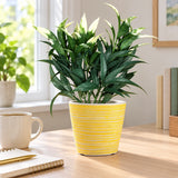 White Tipped Willow Oak Stem UV Resistant 30cm - styled product image A