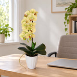 40cm Butterfly Artificial Orchid Cream - styled product image B