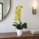 40cm Butterfly Artificial Orchid Cream - styled product image C