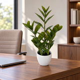 60cm Artificial Potted Zanzibar - styled product image B