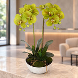 Two Stem Butterfly Artificial Orchid Cream 50cm - styled product image B