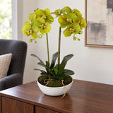Two Stem Butterfly Artificial Orchid Cream 50cm - styled product image C