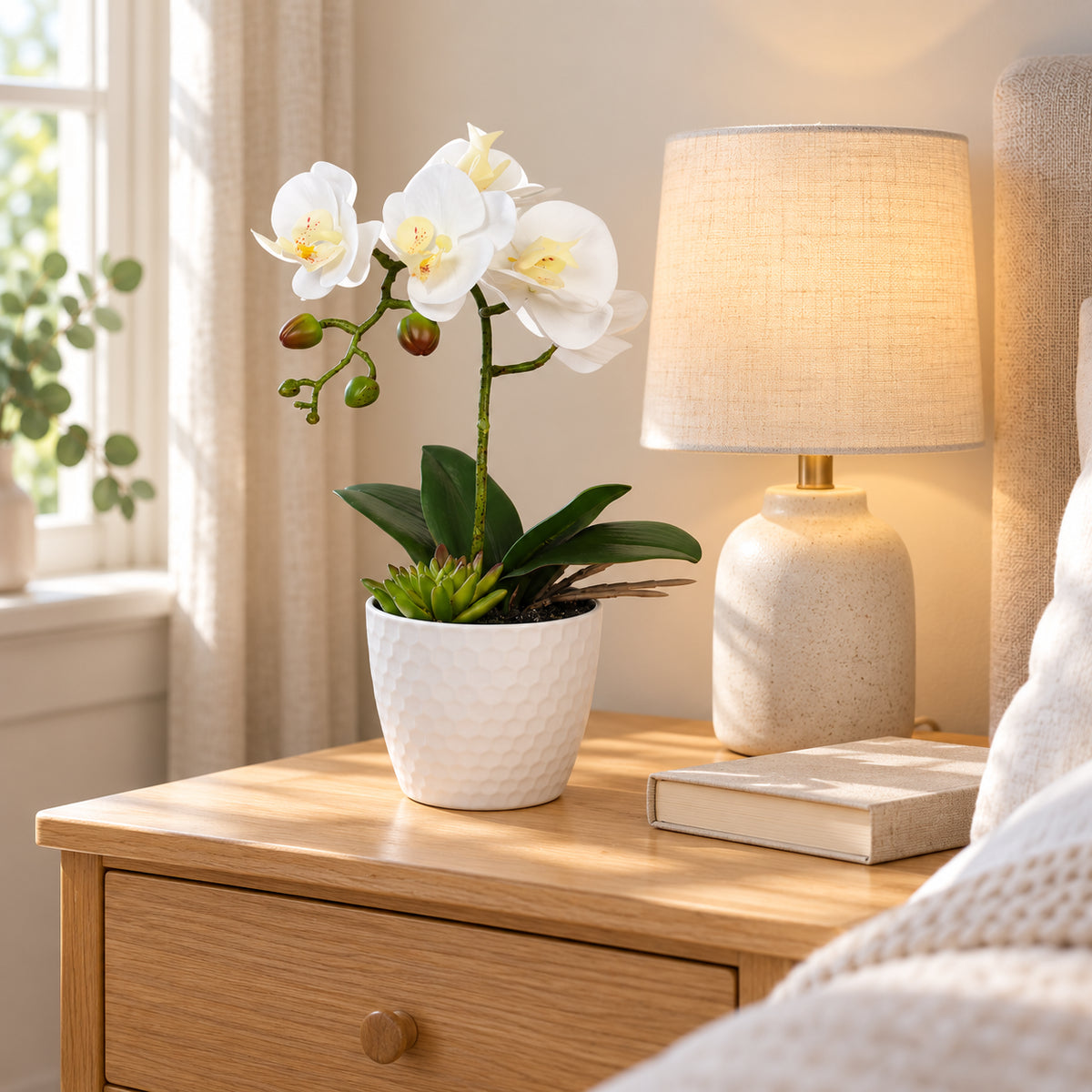 Potted Single Stem White Phalaenopsis Orchid with Decorative Pot 35cm - styled product image A