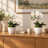 Potted Single Stem White Phalaenopsis Orchid with Decorative Pot 35cm - styled product image B