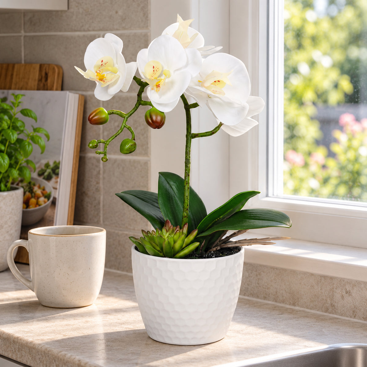 Potted Single Stem White Phalaenopsis Orchid with Decorative Pot 35cm - styled product image C