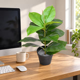 Artificial Potted Rubber Plant 55cm - styled product image A