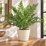 Artificial Maidenhair Fern Stem 40cm - styled product image B