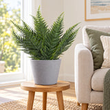 Premium Artificial Australian Fern UV Resistant 50cm - styled product image A