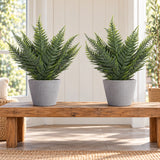 Premium Artificial Australian Fern UV Resistant 50cm - styled product image B