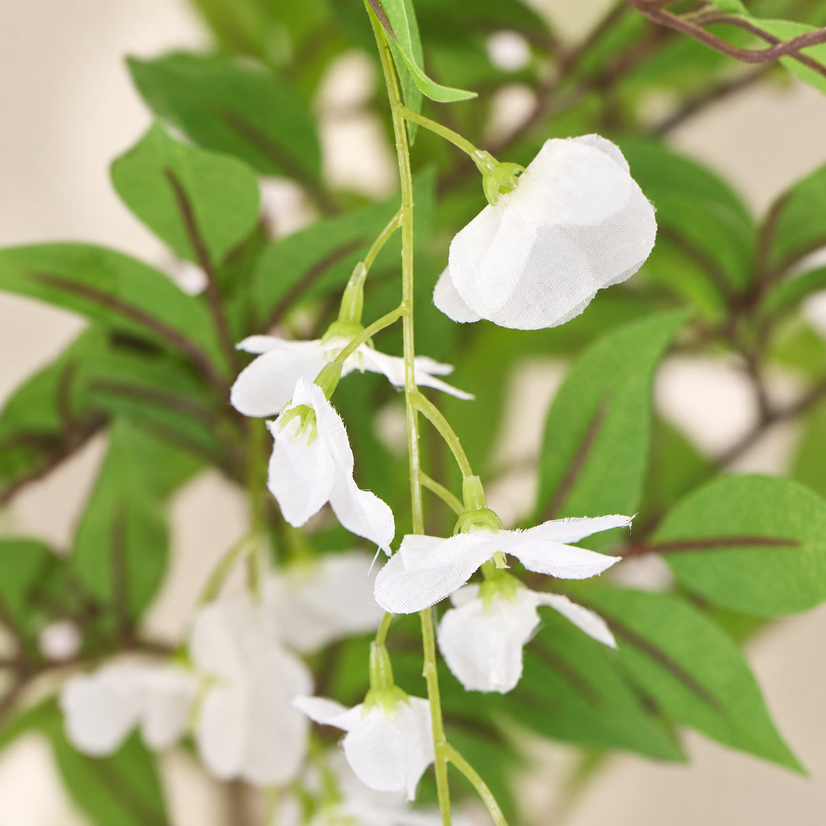 Flowering Artificial Wisteria with White Flowers 180cm - styled product image C