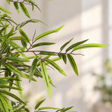 Premium Dense Artificial Black Bamboo 150cm - styled product image A
