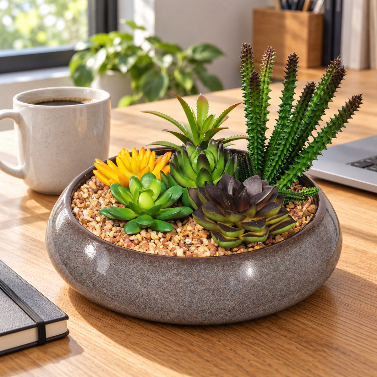 Potted Artificial Succulents with Round Decorative Bowl 19cm - styled product image A