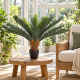 Artificial Cyca (Cycad) Plant 60cm - styled product image A