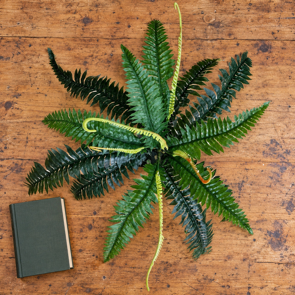 Artificial Dark Green Boston Fern 60cm - styled product image A