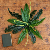 Artificial Dark Green Boston Fern 60cm - styled product image A