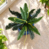 Artificial Dark Green Boston Fern 60cm - styled product image B
