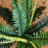 Artificial Dark Green Boston Fern 60cm - styled product image C
