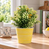 Artificial Dwarf Japanese Golden Yew UV Resistant 27cm - styled product image A