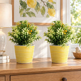 Artificial Dwarf Japanese Golden Yew UV Resistant 27cm - styled product image B