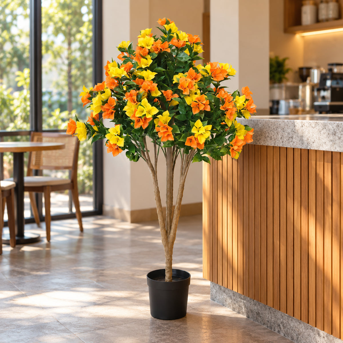Flowering Yellow and Orange Bougainvillea Tree 120cm UV Resistant - styled product image B