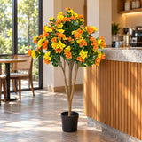 Flowering Yellow and Orange Bougainvillea Tree 120cm UV Resistant - styled product image B