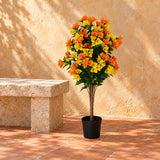 Flowering Yellow and Orange Bougainvillea Tree 90cm UV Resistant - styled product image A