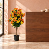 Flowering Yellow and Orange Bougainvillea Tree 90cm UV Resistant - styled product image B