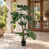 Premium Potted Split Leaf Monstera / Philodendron 150cm UV Resistant - styled product image A