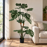 Premium Potted Split Leaf Monstera / Philodendron 150cm UV Resistant - styled product image B