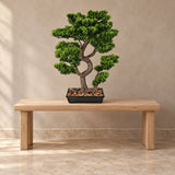 Premium Handmade Artificial Potted Bonsai 70cm x 45cm - styled product image B