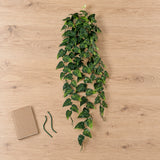 Hanging Artificial Pothos / Philodendron  Plant UV Resistant 85cm - styled product image A