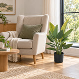 Artificial Premium Small Potted Strelitzia / Bird of Paradise 70cm - styled product image A
