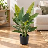 Artificial Premium Small Potted Strelitzia / Bird of Paradise 70cm - styled product image C