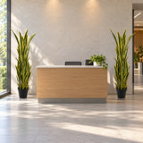 Premium Artificial Snake Plant (Sansevieria) 150cm UV Resistant - styled product image B