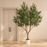 Nearly Natural Extra Large Olive Tree with Olives 280cm - styled product image B