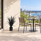 Premium Black Potted Artificial Long Grass (Yucca Grass) 75cm UV Resistant - styled product image B